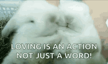 Bunny Love You GIF - Bunny Love You Loving Is An Action Not A Word GIFs