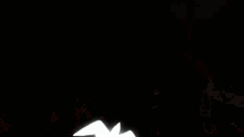 a flock of white birds flying in the dark .