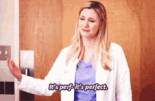 Greys Anatomy Lexie Grey GIF - Greys Anatomy Lexie Grey Its Perf GIFs