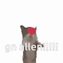 Gn Allen Goodnight GIF - Gn Allen Goodnight Jumping Cat GIFs