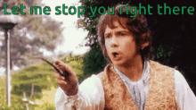 Lord Of The Rings Let Me GIF - Lord Of The Rings Let Me Stop GIFs