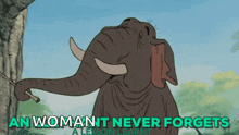Neverforget GIF - Neverforget GIFs
