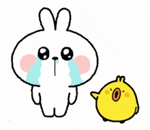 a rabbit is crying next to a small yellow chicken .