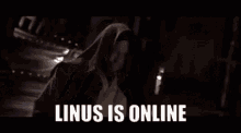 Linus Online GIF - Linus Online Is GIFs
