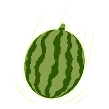 bakenswitch watermelon fruit