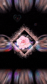 a pink rose in a square on a black background with a heart in the background