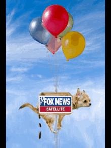 Fox News Sucks GIF - Fox News Sucks GIFs