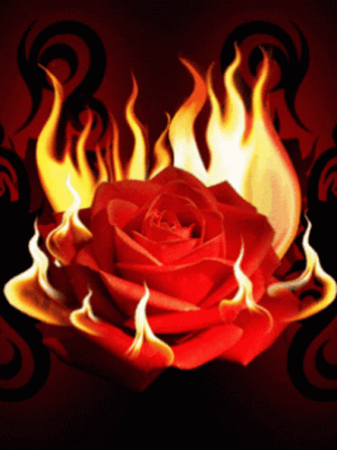 fire flowers love