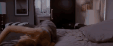Fun With Bed Sheets GIF