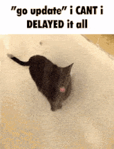a picture of a cat in a bathtub with a caption that says " go update i cant i delayed it all "