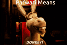 Donkey Patwari Means GIF - Donkey Patwari Means GIFs