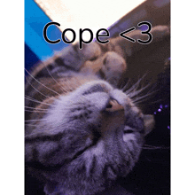 Cope GIF