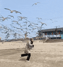 Yoon Sanha Running Away GIF - Yoon Sanha Running Away Seagulls GIFs