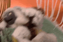 Zoboomafoo Hammock GIF - Zoboomafoo Hammock Lemur GIFs