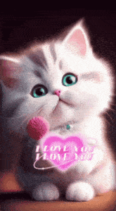 I Love You Cute Cat GIF