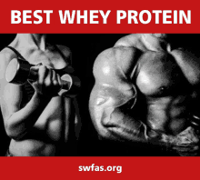 Best Whey Protein Stack To Get Ripped GIF