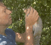 Argabe Squirrel GIF - Argabe Squirrel Kiss GIFs