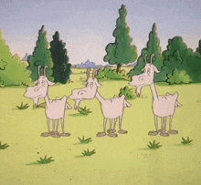a cartoon of a herd of goats standing in a grassy field
