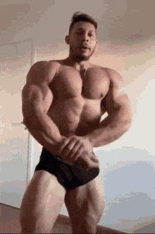 Muscle GIF - Muscle GIFs