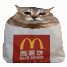 a cat is sitting in a mcdonald 's bag