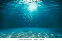 Undersea GIF - Undersea GIFs