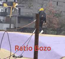 Ratio Bozo Samuel GIF - Ratio Bozo Samuel GIFs