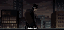 catwoman is standing on top of a building in the city at night .