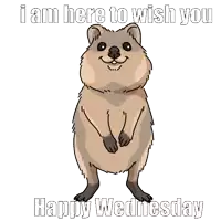 a happy wednesday greeting card with a smiling animal