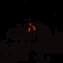a glowing object in the dark that looks like a skull