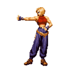 blue mary terry terry bogard kof king of fighters