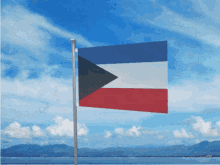 The Allied Republic Of Coastuana Independence GIF - The Allied Republic Of Coastuana Independence Rebellion GIFs