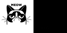 No Meow Grumpy Cat GIF - No Meow Grumpy Cat Gif Slider Wiley GIFs