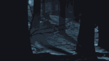 a dark forest with trees covered in snow and ice