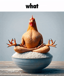 a chicken sits in a lotus position on top of a bowl of rice under the words what