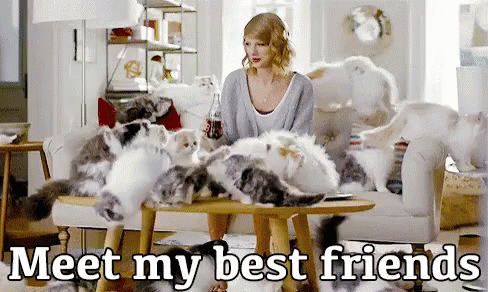 Taylor Swift sits in a living room surrounded by cats.