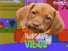 Thursday Happy Thursday GIF - Thursday Happy Thursday Thursday Vibes GIFs