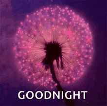 Good Night GIF - Good Night Goodnight GIFs