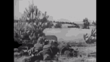 Panzer Bomb GIF - Panzer Bomb Shoot GIFs
