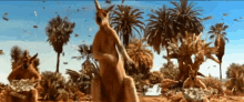 Kangaroo Jack Money GIF