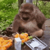 a gorilla is sitting at a table eating fruit