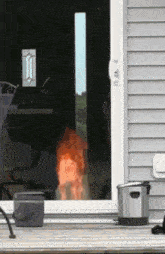 Cat Burning GIF - Cat Burning GIFs