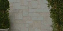 Face On Wall GIF - Face On Wall GIFs
