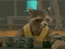 Rocket Raccoon Figure It Out GIF - Rocket Raccoon Figure It Out Angry GIFs
