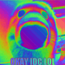 Okidclol GIF - Okidclol GIFs