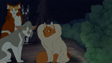 a group of cats are standing next to each other in a dark forest