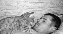 a cat is laying on a man 's face