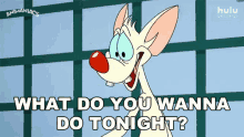 what do you wanna do tonight pinky animaniacs what do you have in mind any plans