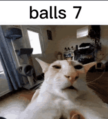 Balls Seven GIF - Balls Seven GIFs