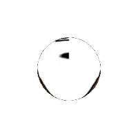 a basketball with a swirl on it is next to another basketball