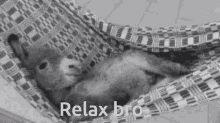 Relax Bro GIF